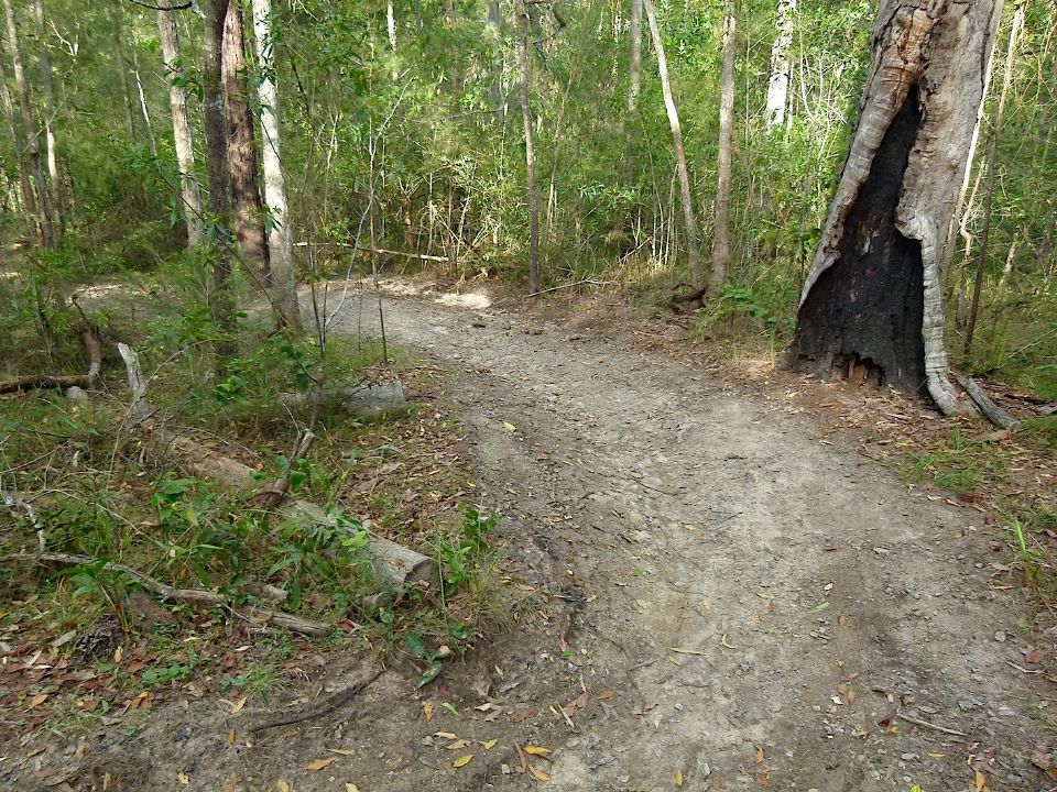P1160428.jpg